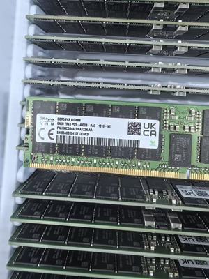 SK Hynix 64G 4800 &nbsp;DDR5