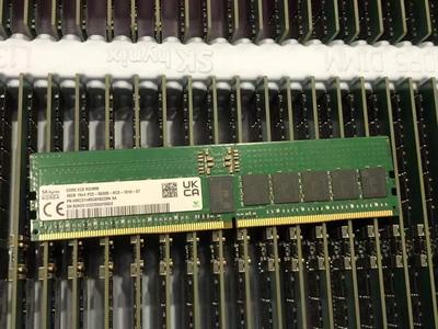 SK 48GB 1Rx4 PC5 5600B DDR5 Memory